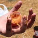 A broken egg in a person's hand.