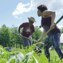 A picture of individuals farming.