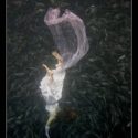 Image of a woman in a pink dress sinking into dark water