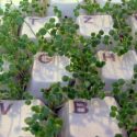 Image of plants growing in a keyboard